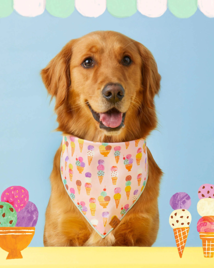 Sundae Fundae Dog Bandana (Made in the USA)