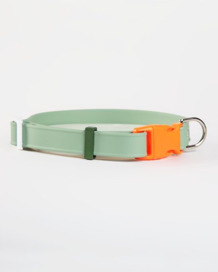 A Walk in the Park Dog Collar in Sage Green (Made in the USA)